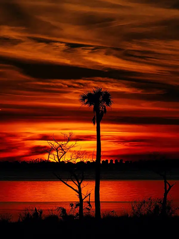 Simmons Bayou at Sunset